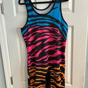 Colorful Zebra Print Men’s Singlet
